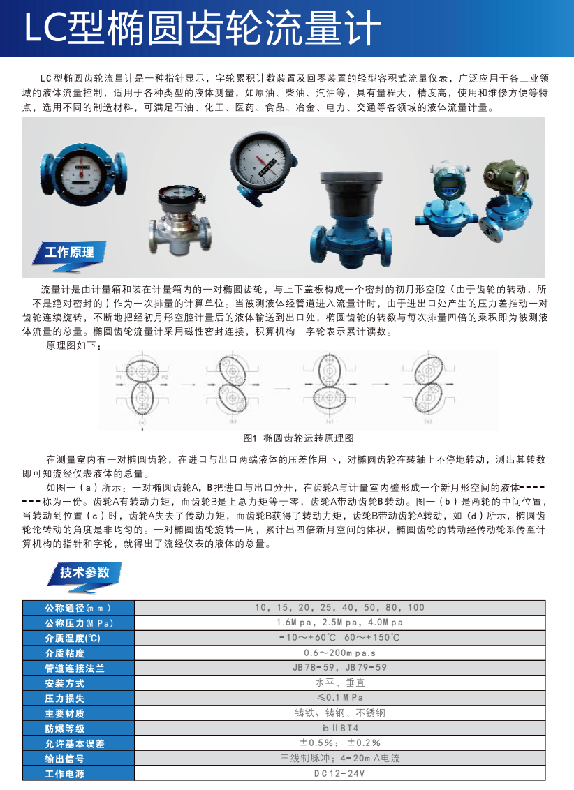 橢圓齒輪流量計(jì)
